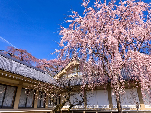 醍醐寺