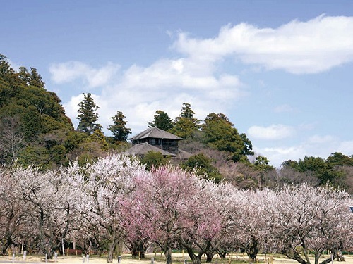 水戶偕樂園