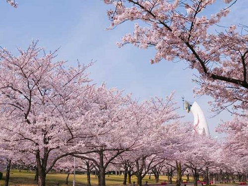 萬博紀念公園