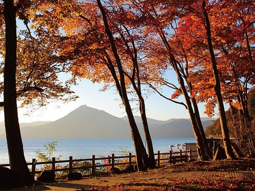 支芴湖紅葉