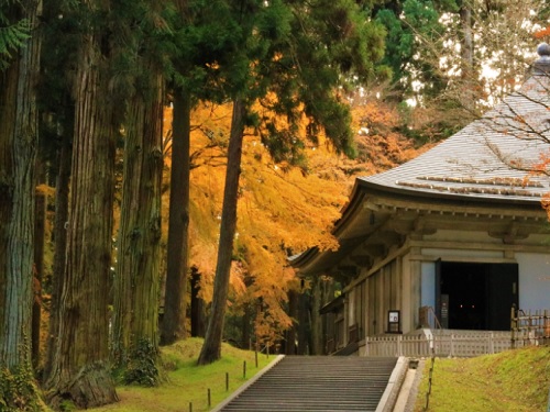 中尊寺