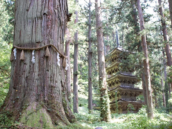羽黑山五重塔
