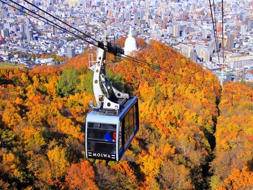 藻岩山紅葉
