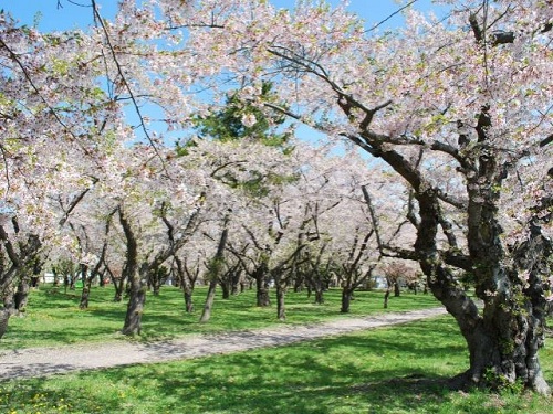 森町青葉丘公園
