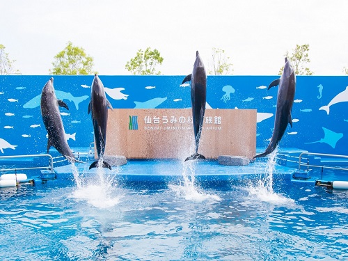 仙台海之杜水族館