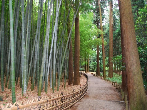 水戶偕樂園