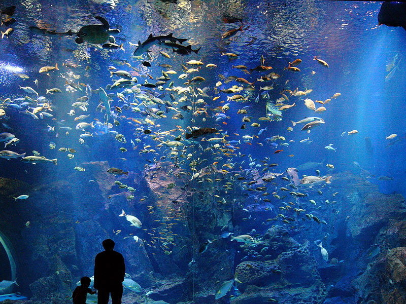 男鹿水族館GAO
