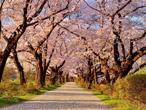 北上展勝地