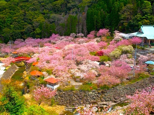 不動尊一心寺