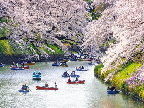 千鳥之淵綠園道