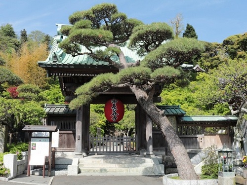 長谷觀音寺