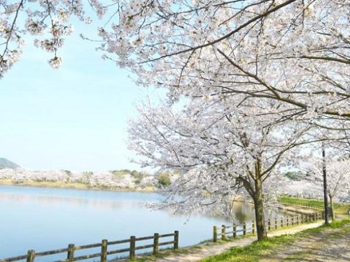 蛇谷公園