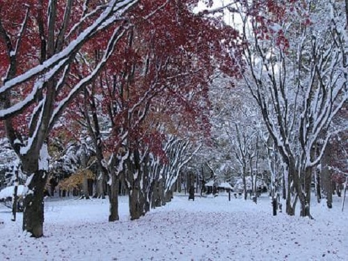 見晴公園~香雪園
