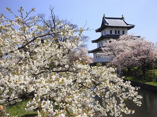 松前城+松前公園