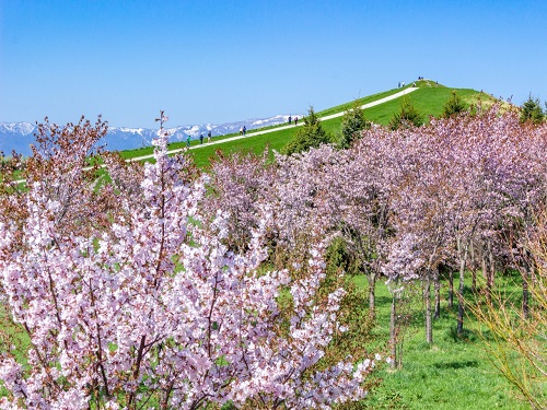 莫埃來沼藝術公園