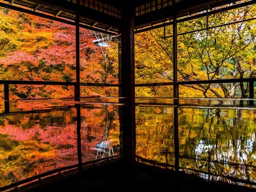 琉璃光院
