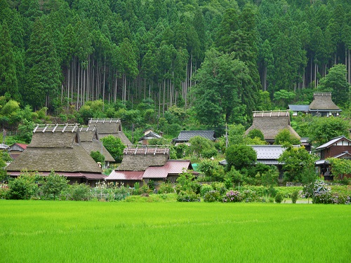 美山茅草屋之里