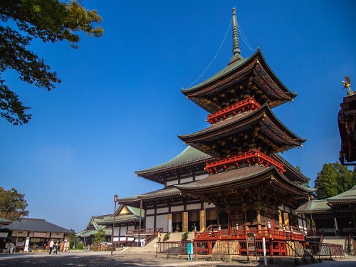 成田山新勝寺+表參道