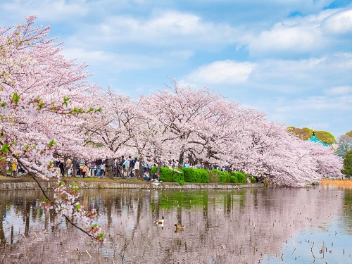 上野恩賜公園