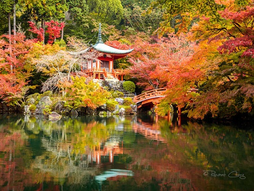 醍醐寺