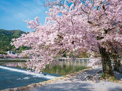 嵐山渡月橋