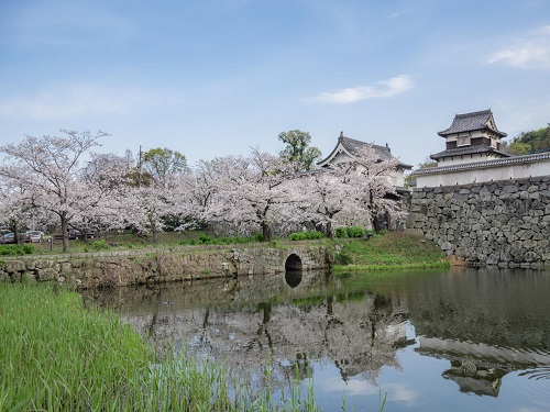 福岡城跡&舞鶴公園