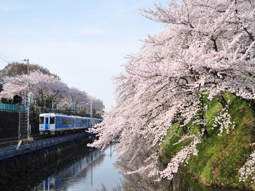 山形霞城公園
