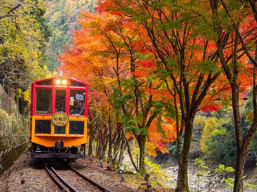 嵯峨野小火車 