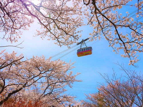  別府鶴見岳空中纜車
