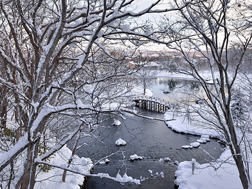 羊蹄山名水公園