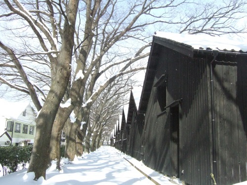 酒田山居倉庫