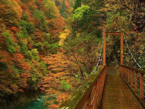日本紅葉百選~抱返溪谷