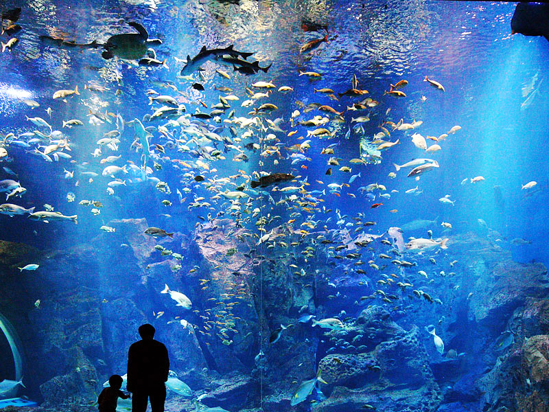 男鹿水族館