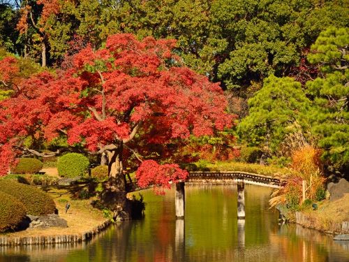 六義園