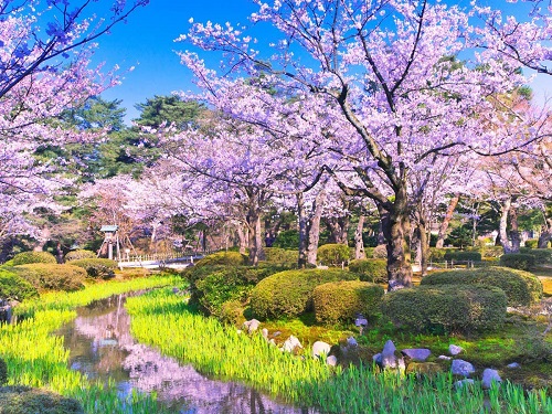 金澤兼六園
