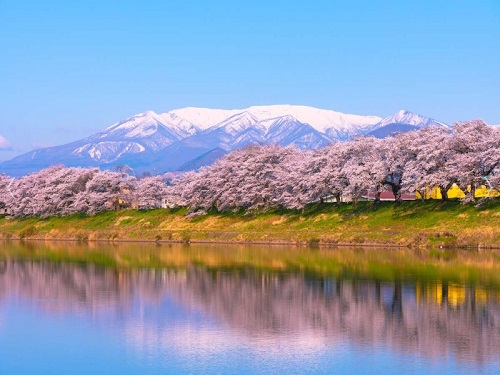 白石川堤