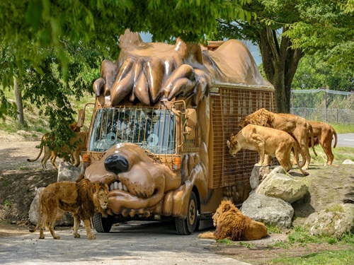 九州自然動物園~叢林巴士