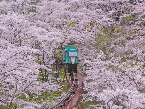 船岡城址公園