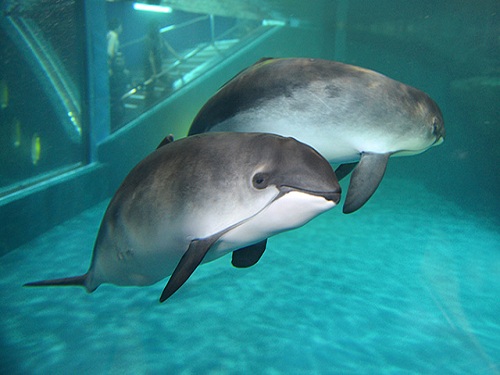 小樽水族館