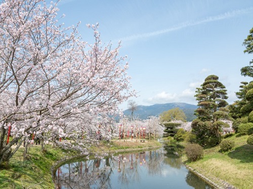 佐賀小城公園