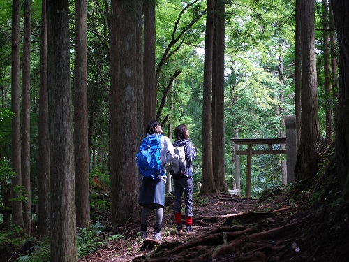 熊野古道