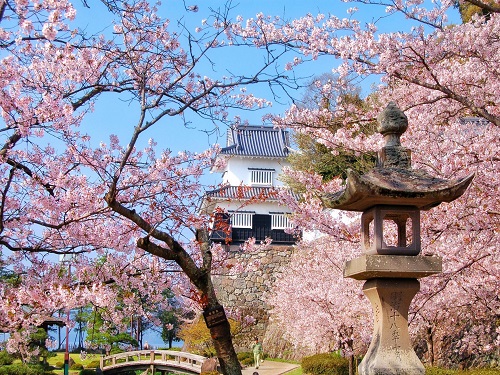 大村公園&玖島城跡
