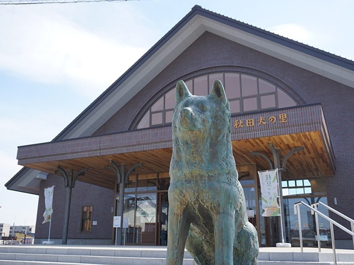 秋田犬之里