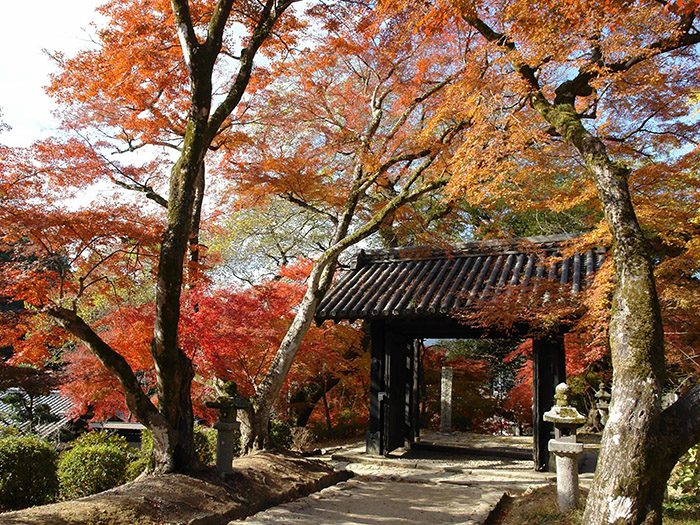 秋月城跡