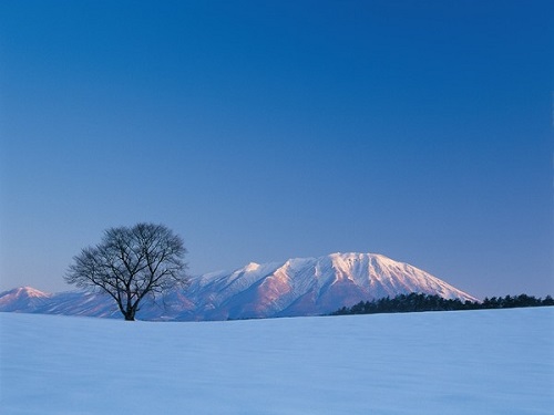 小岩井農場