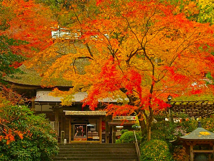 大興善寺