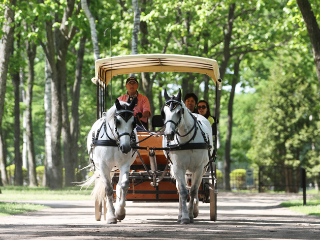 北國優駿公園