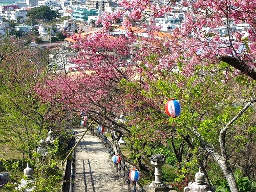 名護中央公園（名護城跡）