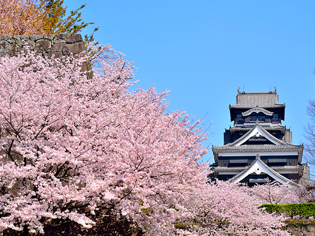 熊本城