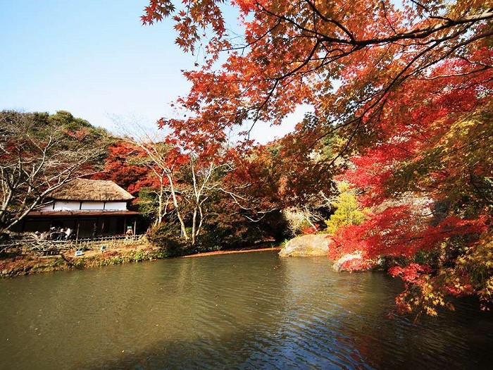 日本紅葉百選~御船山樂園